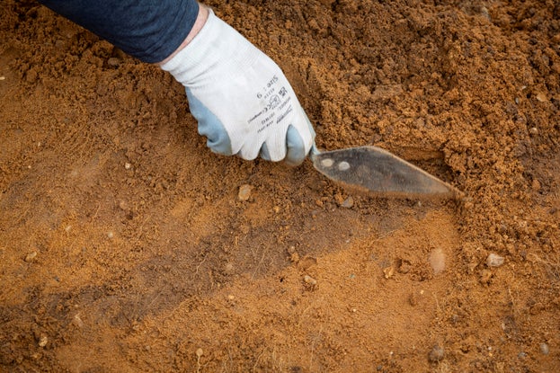A hand holding a trowel